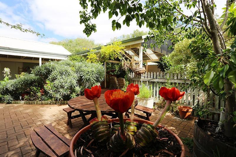 Jacaranda Guest House Busselton Exterior photo